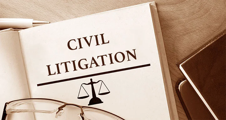 Litigation Image